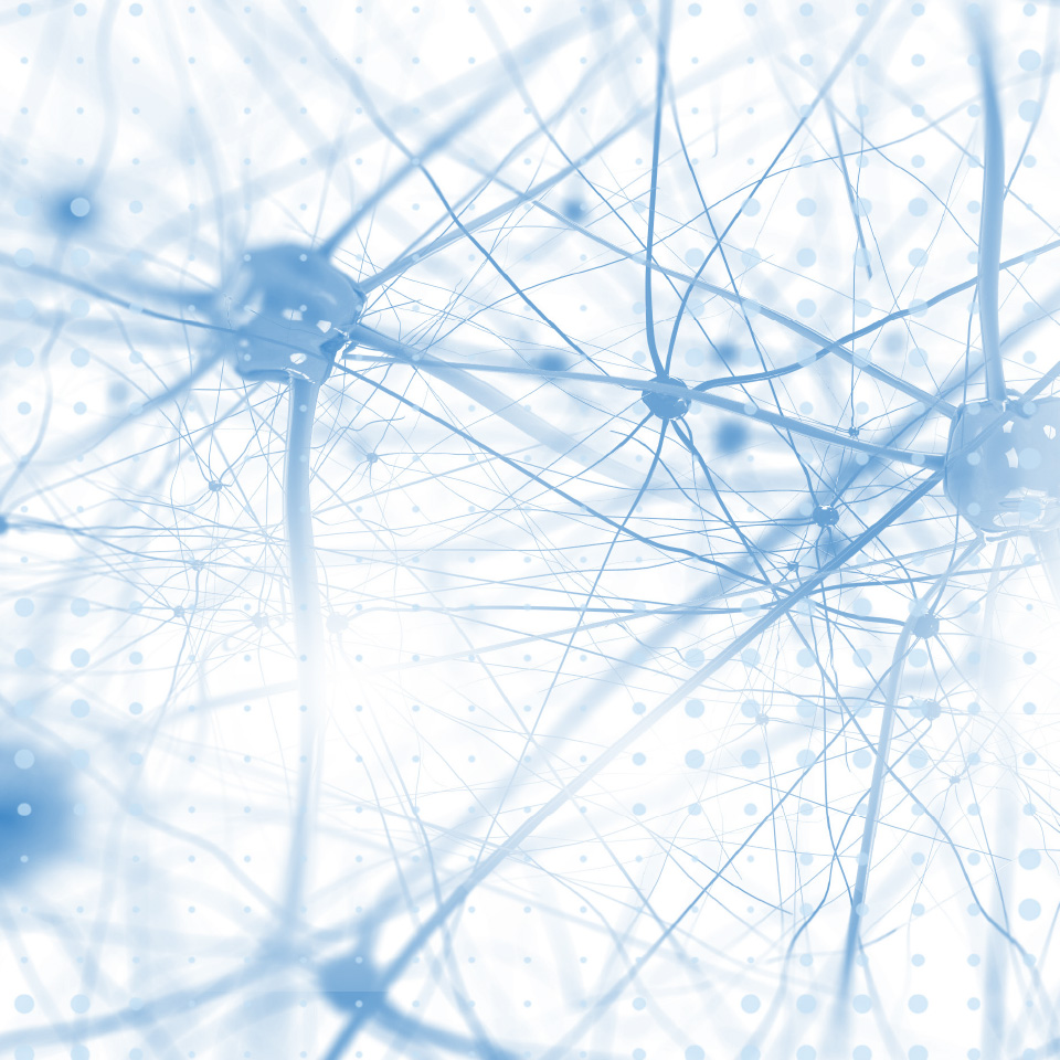 SetPoint_applications_nerves_banner